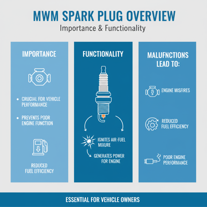 Mwm Spark Plug Buying Guide for Global Suppliers?