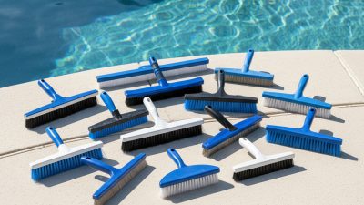 Top 10 Best Pool Wall Brushes for Effective Cleaning?