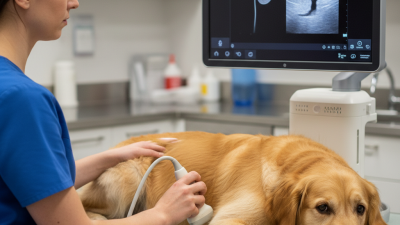 Comment choisir le meilleur appareil d'échographie ODM en gros pour chiens ?