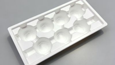 100% biodegradable food tray.jpg
