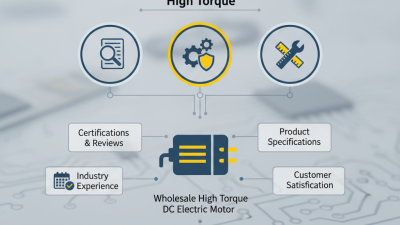 How to Choose High-Quality Wholesale High Torque DC Electric Motor Products?