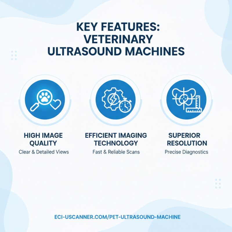 How to Choose the Best Wholesale ODM Ultrasound Machine For Dogs?