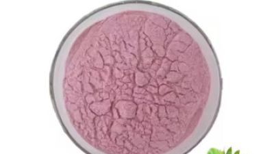 Strawberry Powder 1_副本.jpg