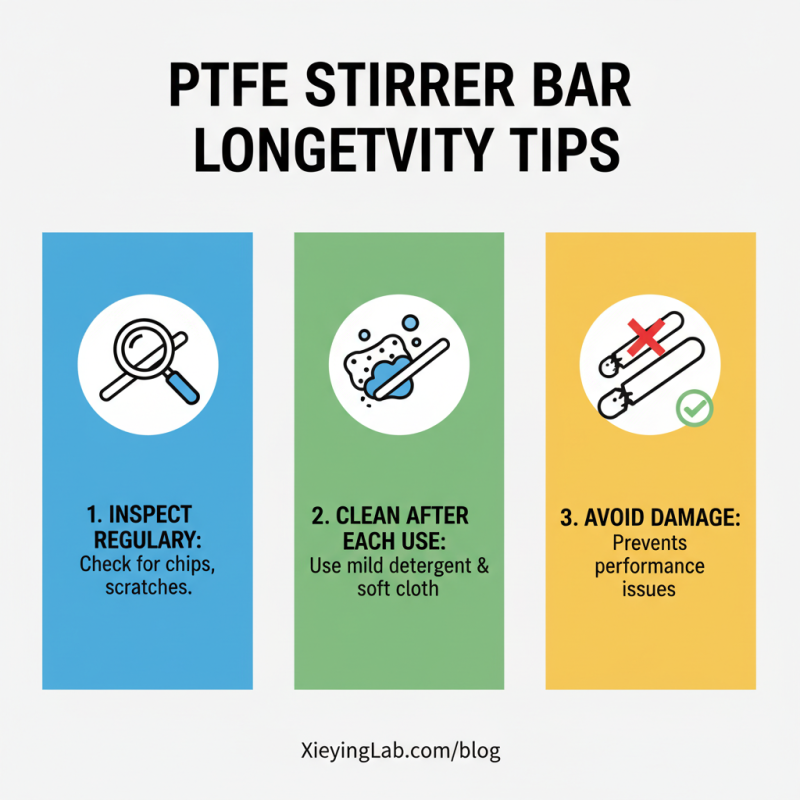 Discover the Best Lab PTFE Stirrer Bar for Global Buyers
