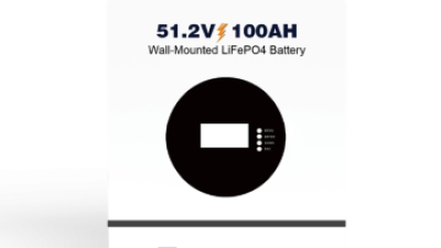 48v 100ah Wall-mounted battery (1).png