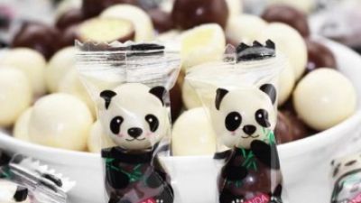OEM-ODM-Panda-Maltesers-Candy-Factory.jpg