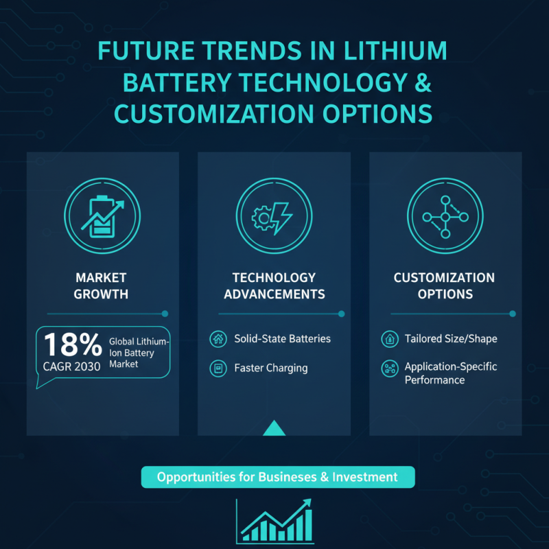Why Choose Wholesale Custom Lithium Battery Pack for Your Business Needs?