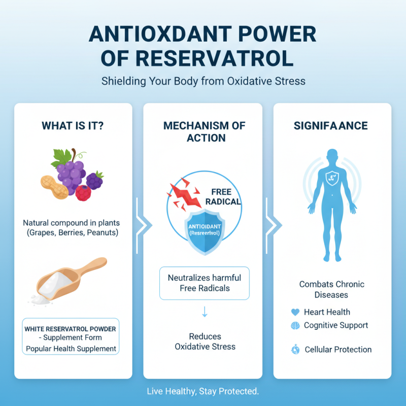 Top 10 Benefits of Resveratrol Powder for Global Buyers?