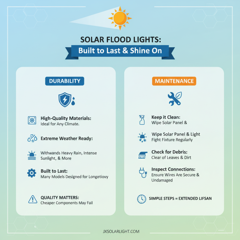 Top 10 Benefits of Outdoor Solar Flood Lights for Buyers