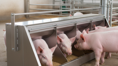 Pourquoi choisir des mangeoires à cochons en acier inoxydable pour les besoins de votre ferme ?
