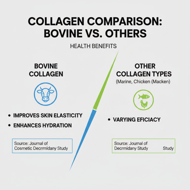 Why Choose Bovine Collagen Powder for Your Health Needs?