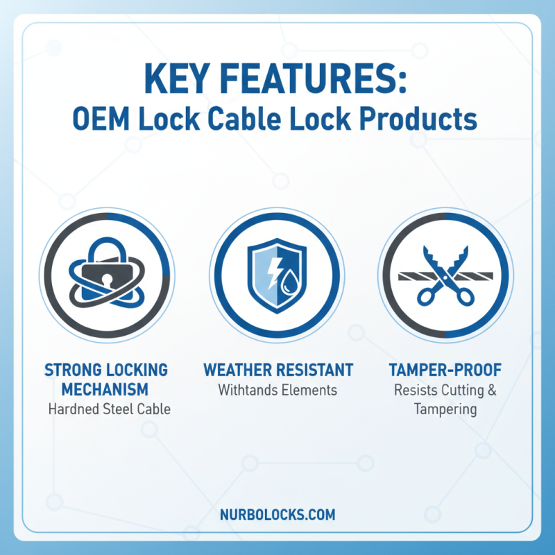 Top 10 OEM Cheap Lock Cable Lock Products You Need to Know?