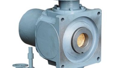 SWL Screw Jack Gearbox for Jump Form Construction Lifting (1).jpg