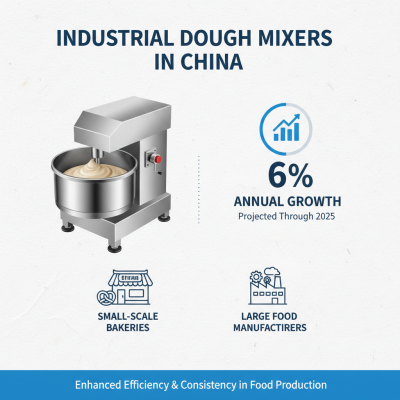 Top Industrial Dough Mixers in China to Buy Today?