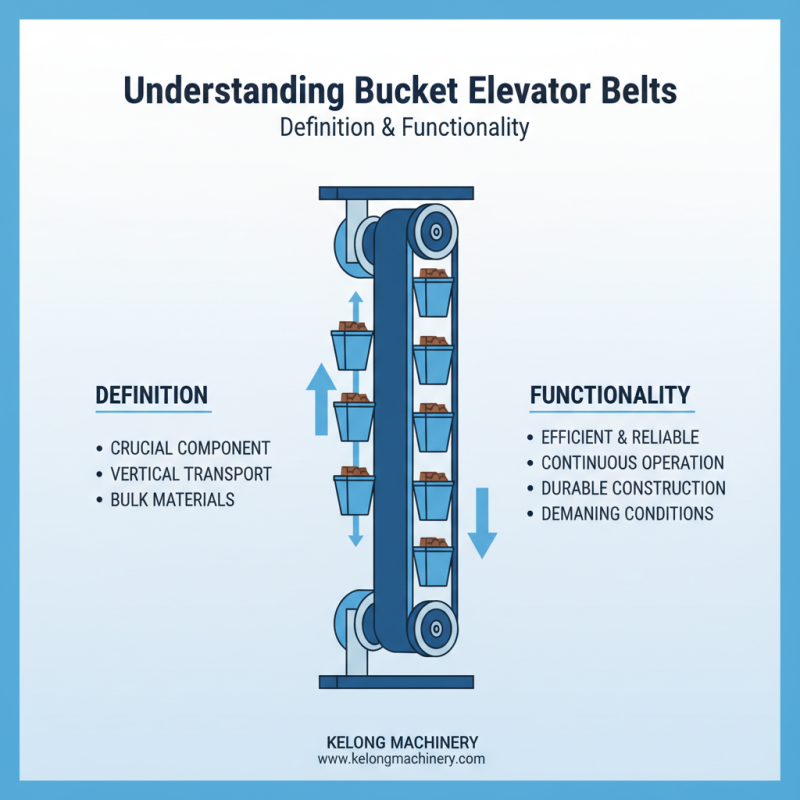 Top 5 Bucket Elevator Belt Types for Global Buyers?