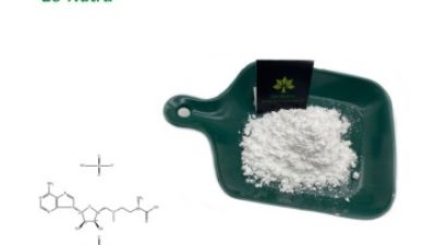 S-Adenosyl-Methionine-Powder.jpg
