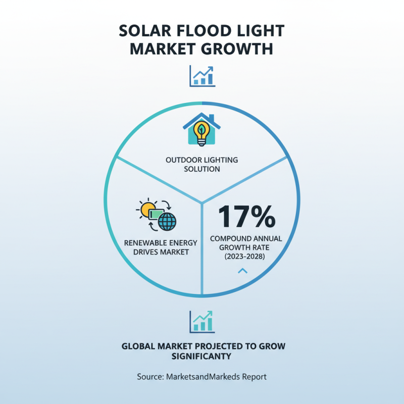Top 10 Solar Flood Light Options For Your Outdoor Needs?