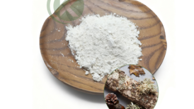 larch bark extract powder.png