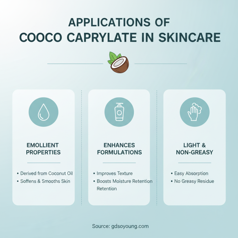 2026 Best Uses of Coco Caprylate for Global Buyers?