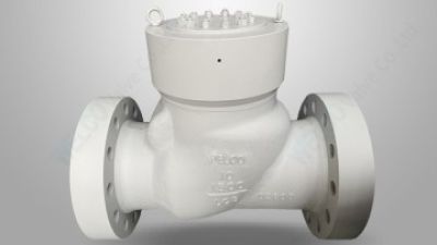 PSB full bore check valve.jpg