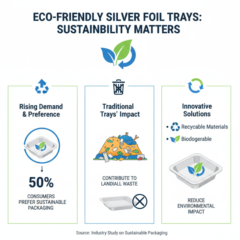 2026 Top Silver Foil Tray Buying Guide for Global Shoppers?