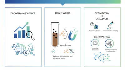 Why is Magnetic Bead Separation Essential for Your Research?