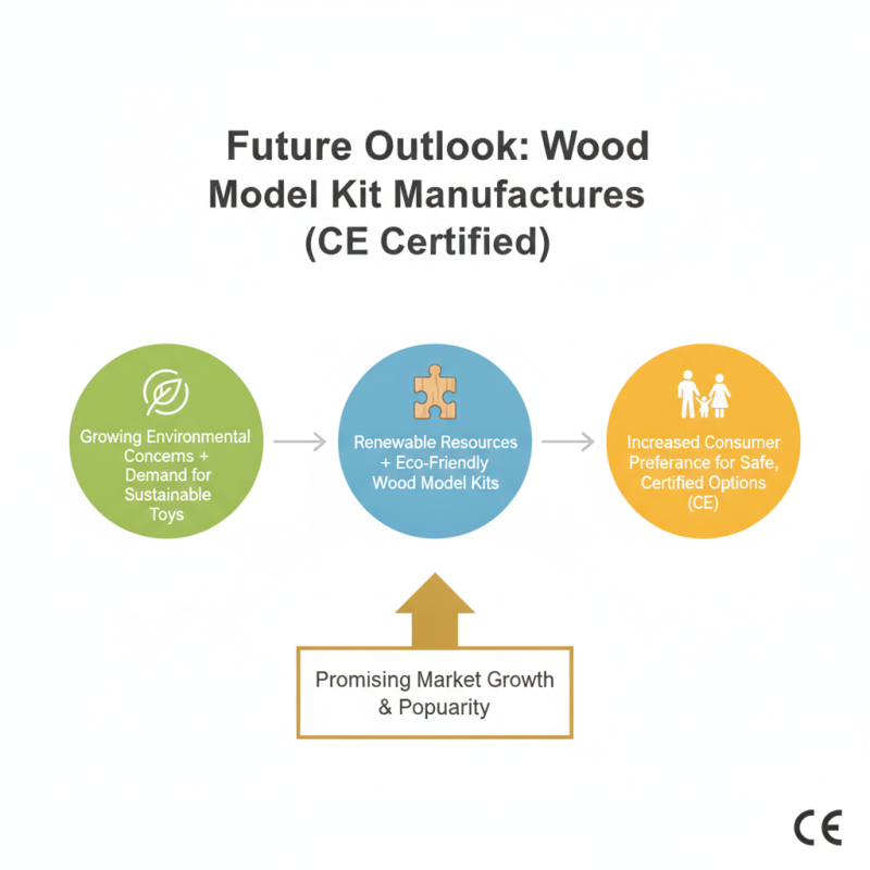 Top 10 High Quality CE Certification Wood Model Kit Manufacturers You Should Know?