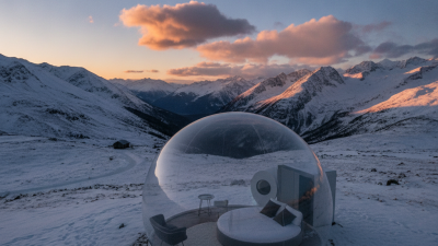 2026 How to Choose Frameless Polycarbonate Dome for Your Needs?
