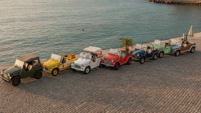Les 10 meilleurs modèles Moke vintage à prendre en compte pour les acheteurs internationaux ?