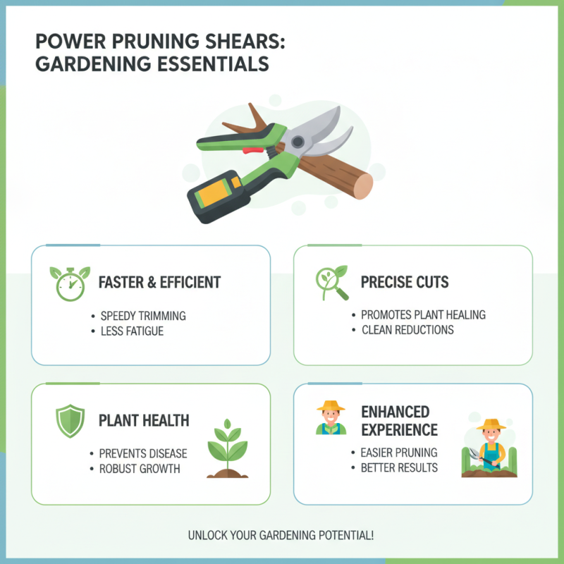 How to Choose the Best Power Pruning Shears for Your Garden?