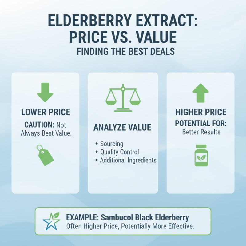 Top Tips to Buy Best Elderberry Extract Product Today?