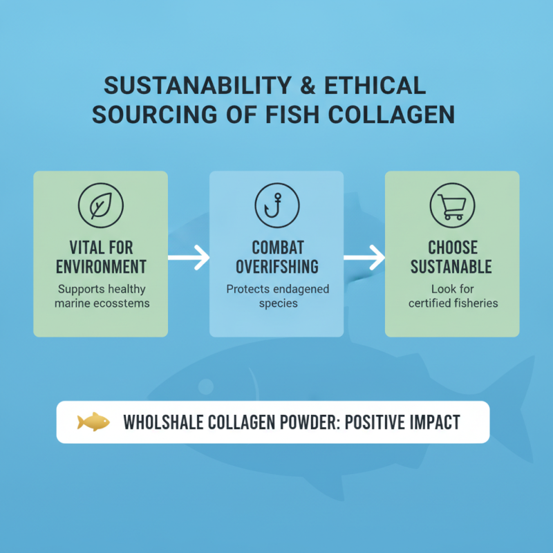 Top 10 Reasons to Buy Wholesale Fish Collagen Powder for Your Business?