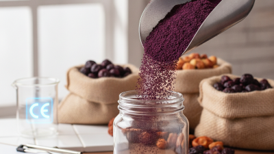 How to Choose the Best CE Certified Acai Berry Powder Suppliers?