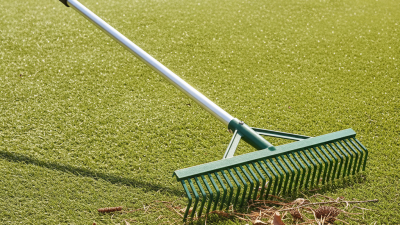 Best Synthetic Lawn Rake Options for Global Buyers Today?