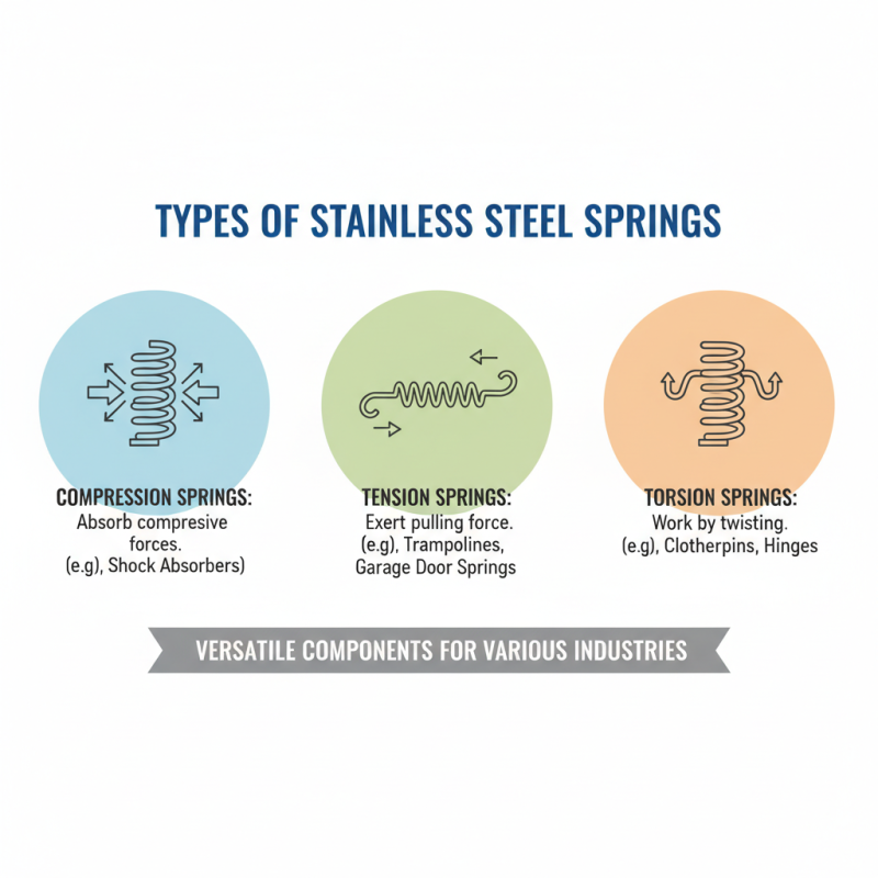 Top Quality Stainless Steel Springs for Global Buyers?