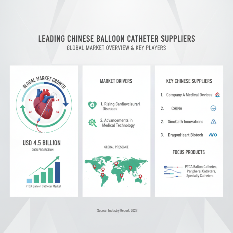 China Top 10 Balloon Catheter Suppliers for Global Buyers?