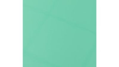 Light Green.jpg