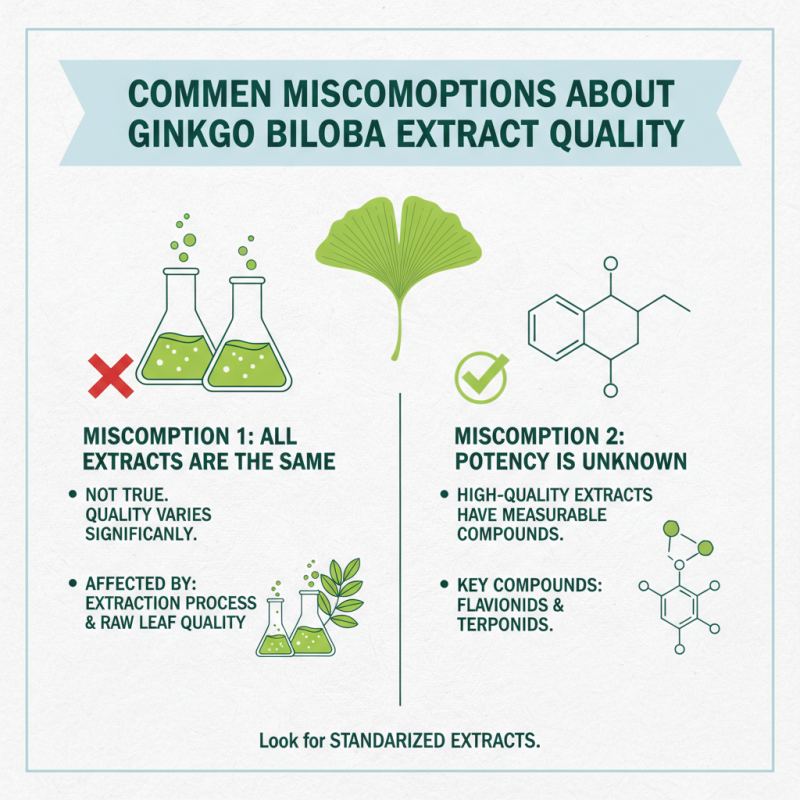 What is High-Quality China Ginkgo Biloba Extract and How to Choose Factories?