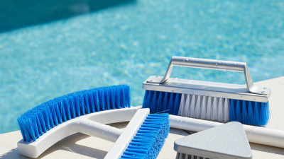 2026 Top China High-Quality Pool Wall Brush Manufacturers to Know?