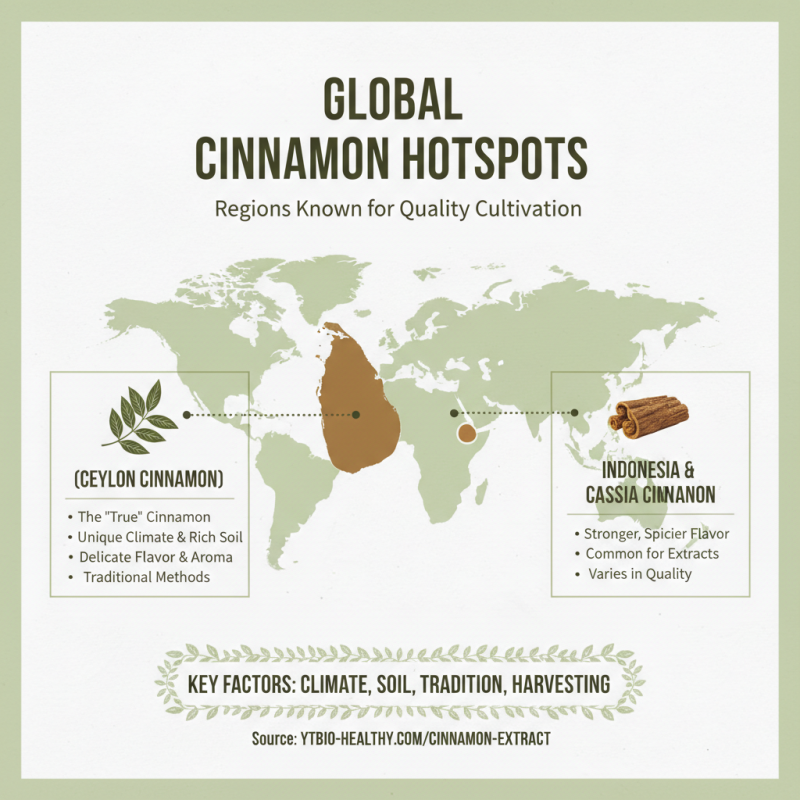 How to Source High Quality Cinnamon Extract in 2026?