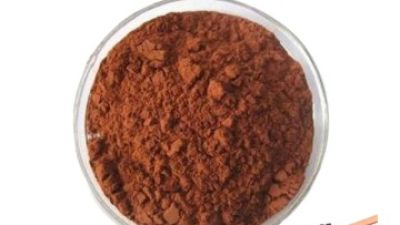 Grape Seed Extract 1.jpg