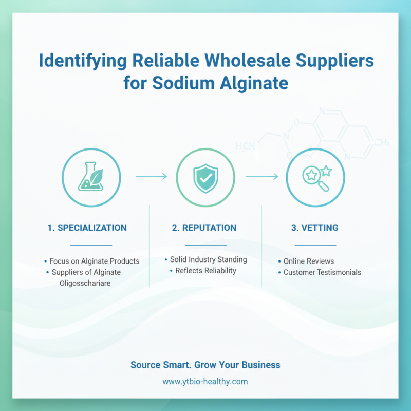 Top 5 Tips to Buy Wholesale Sodium Alginate Powder Effectively?