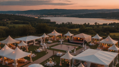 Top Party Canopy Options for 2026 Global Buyers?
