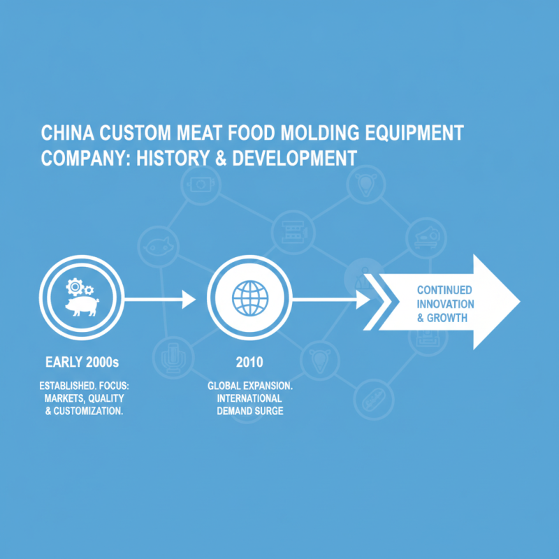 What is China Custom Meat Food Molding Equipment Company?