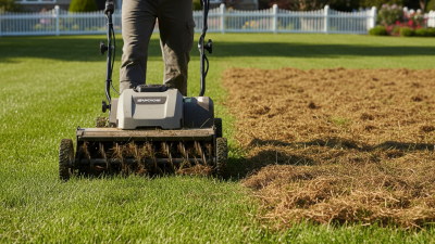 Best Power Dethatcher for Your Lawn Needs in 2026?