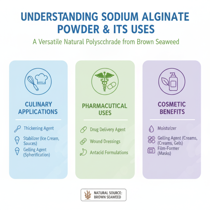 Top 5 Tips to Buy Wholesale Sodium Alginate Powder Effectively?