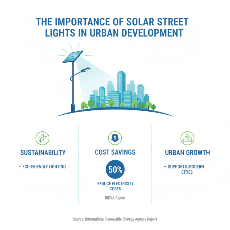 Top 10 Wholesale China Solar Light For Street Options to Consider?