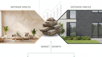 Top Tips for Choosing Stone Texture Wall Paint?