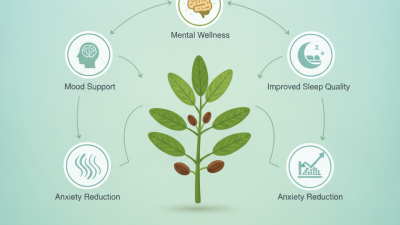2026 Best Griffonia Seed Extract Benefits for Global Buyers?