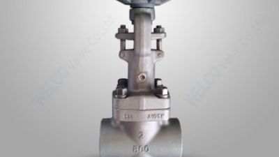 Forged steel gate valve with vacuum packing.jpg